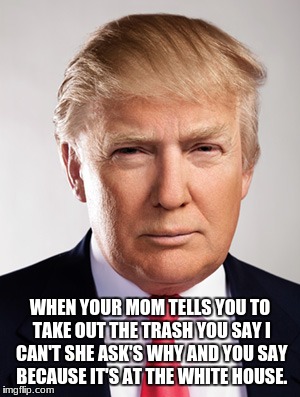 Donald Trump | WHEN YOUR MOM TELLS YOU TO TAKE OUT THE TRASH YOU SAY I CAN'T SHE ASK'S WHY AND YOU SAY BECAUSE IT'S AT THE WHITE HOUSE. | image tagged in donald trump | made w/ Imgflip meme maker