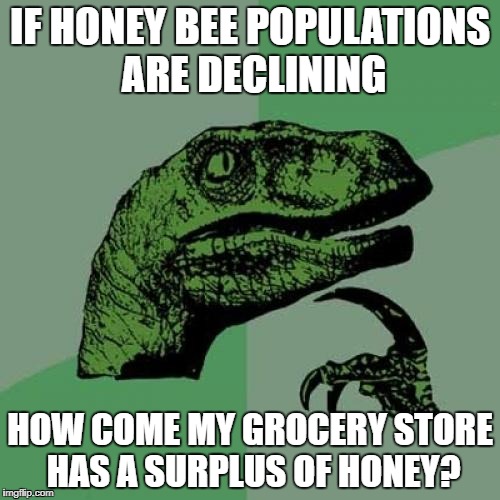 Philosoraptor Meme | IF HONEY BEE POPULATIONS ARE DECLINING; HOW COME MY GROCERY STORE HAS A SURPLUS OF HONEY? | image tagged in memes,philosoraptor | made w/ Imgflip meme maker