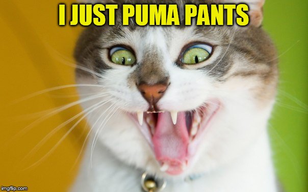 I JUST PUMA PANTS | made w/ Imgflip meme maker