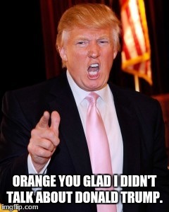 Donald Trump | ORANGE YOU GLAD I DIDN'T TALK ABOUT DONALD TRUMP. | image tagged in donald trump | made w/ Imgflip meme maker