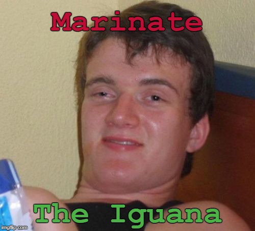 ...wait.   What? | Marinate; The Iguana | image tagged in memes,10 guy,stoner blurbs,stoned,marilize the legaljuana | made w/ Imgflip meme maker