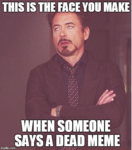 Face You Make Robert Downey Jr | THIS IS THE FACE YOU MAKE; WHEN SOMEONE SAYS A DEAD MEME | image tagged in memes,face you make robert downey jr | made w/ Imgflip meme maker