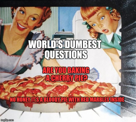 50's Wife cooking cherry pie | WORLD'S DUMBEST QUESTIONS; ARE YOU BAKING A CHERRY PIE? NO HONEY IT'S A BLOODY PIE WITH RED MARBLES INSIDE | image tagged in 50's wife cooking cherry pie | made w/ Imgflip meme maker