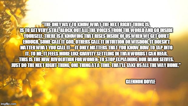 Yellow nature | "THE ONLY WAY TO KNOW WHAT THE NEXT RIGHT THING IS, IS TO GET VERY STILL, BLOCK OUT ALL THE VOICES FROM THE WORLD AND GO INSIDE YOURSELF. THERE IS A KNOWING THAT RISES INSIDE OF US WHEN WE GET QUIET ENOUGH. SOME CALL IT GOD, OTHERS CALL IT INTUITION OR WISDOM. IT DOESN’T MATTER WHAT YOU CALL IT—IT ONLY MATTERS THAT YOU KNOW HOW TO TAP INTO IT. TO ME, IT FEELS MORE LIKE GRAVITY SETTLING IN THAN WORDS I CAN HEAR. THIS IS THE NEW REVOLUTION FOR WOMEN: TO STOP EXPLAINING OUR DAMN SELVES. JUST DO THE NEXT RIGHT THING, ONE THING AT A TIME. THAT’LL TAKE US ALL THE WAY HOME."; GLENNON DOYLE | image tagged in yellow nature | made w/ Imgflip meme maker