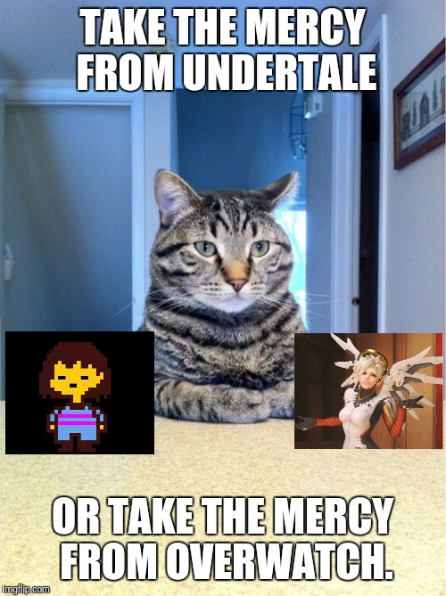 Pick a mercy! | TAKE THE MERCY FROM UNDERTALE; OR TAKE THE MERCY FROM OVERWATCH. | image tagged in memes,take a seat cat,overwatch,undertale | made w/ Imgflip meme maker