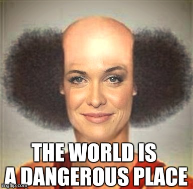 Dangerous | THE WORLD IS A DANGEROUS PLACE | image tagged in bad hair day | made w/ Imgflip meme maker