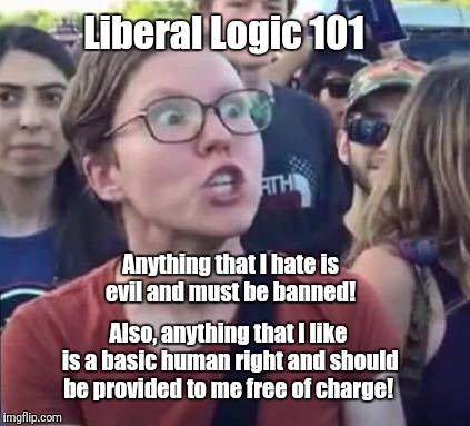 Logic? | Liberal Logic 101; Anything that I hate is evil and must be banned! Also, anything that I like is a basic human right and should be provided to me free of charge! | image tagged in angry liberal | made w/ Imgflip meme maker