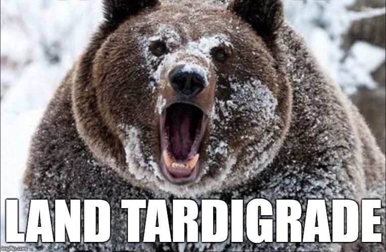 Land Tardigrade | LAND TARDIGRADE | image tagged in bear | made w/ Imgflip meme maker