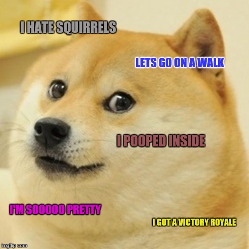 Doge Meme | I HATE SQUIRRELS; LETS GO ON A WALK; I POOPED INSIDE; I'M SOOOOO PRETTY; I GOT A VICTORY ROYALE | image tagged in memes,doge | made w/ Imgflip meme maker