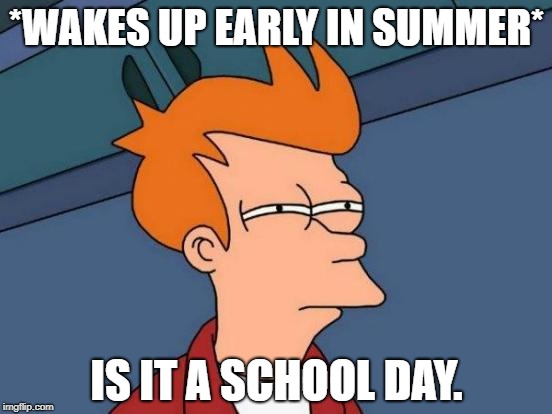 Futurama Fry Meme | *WAKES UP EARLY IN SUMMER*; IS IT A SCHOOL DAY. | image tagged in memes,futurama fry | made w/ Imgflip meme maker