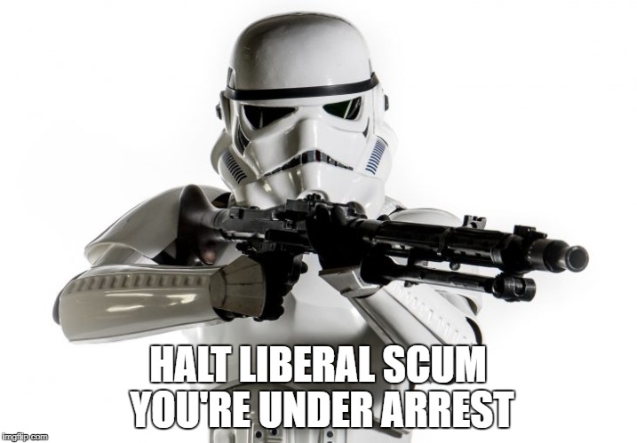 HALT LIBERAL SCUM YOU'RE UNDER ARREST | image tagged in liberals,anti-liberal,star wars,stormtrooper,liberalism is a mental disorder,stupid liberals | made w/ Imgflip meme maker