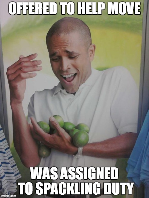 Why Can't I Hold All These Limes | OFFERED TO HELP MOVE; WAS ASSIGNED TO SPACKLING DUTY | image tagged in memes,why can't i hold all these limes | made w/ Imgflip meme maker