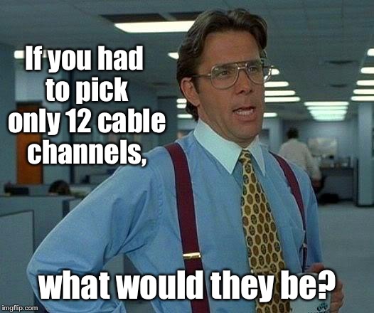 That Would Be Great Meme | If you had to pick only 12 cable channels, what would they be? | image tagged in memes,that would be great | made w/ Imgflip meme maker