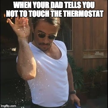 salt bae | WHEN YOUR DAD TELLS YOU NOT TO TOUCH THE THERMOSTAT | image tagged in salt bae | made w/ Imgflip meme maker