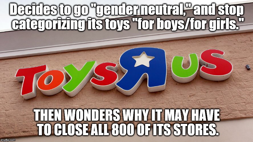 Agree/Disagree. ? | Decides to go "gender neutral," and stop categorizing its toys "for boys/for girls."; THEN WONDERS WHY IT MAY HAVE TO CLOSE ALL 800 OF ITS STORES. | image tagged in toys | made w/ Imgflip meme maker