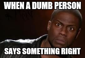 Kevin Hart | WHEN A DUMB PERSON; SAYS SOMETHING RIGHT | image tagged in memes,kevin hart the hell | made w/ Imgflip meme maker