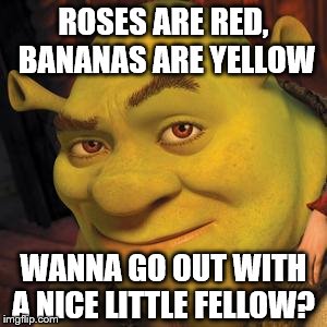 Well... | ROSES ARE RED, BANANAS ARE YELLOW; WANNA GO OUT WITH A NICE LITTLE FELLOW? | image tagged in shrek sexy face,pick up lines | made w/ Imgflip meme maker