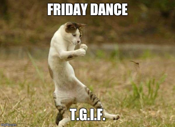FRIDAY DANCE | FRIDAY DANCE; T.G.I.F. | image tagged in friday dance | made w/ Imgflip meme maker