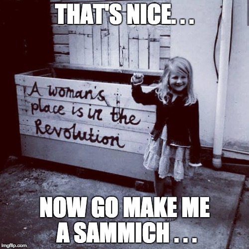 THAT'S NICE. . . NOW GO MAKE ME A SAMMICH . . . | image tagged in memes | made w/ Imgflip meme maker