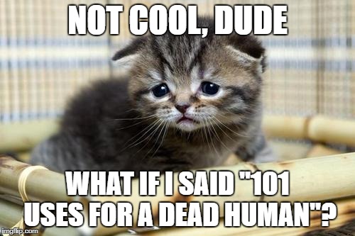 NOT COOL, DUDE; WHAT IF I SAID "101 USES FOR A DEAD HUMAN"? | made w/ Imgflip meme maker