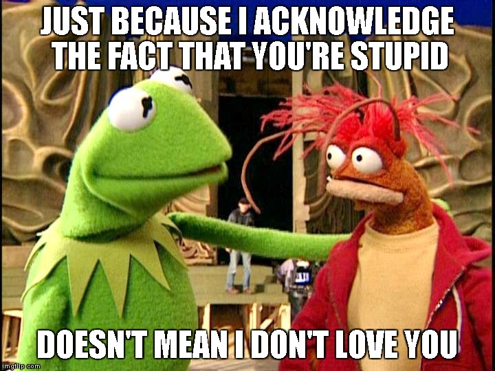 What Every Liberal Needs To Hear | JUST BECAUSE I ACKNOWLEDGE THE FACT THAT YOU'RE STUPID; DOESN'T MEAN I DON'T LOVE YOU | image tagged in muppets,kermit the frog,stupid,stupid people,liberals,idiots | made w/ Imgflip meme maker