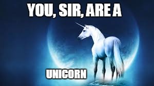 YOU, SIR, ARE A UNICORN | made w/ Imgflip meme maker