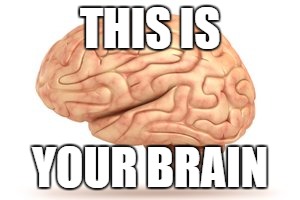 THIS IS; YOUR BRAIN | made w/ Imgflip meme maker