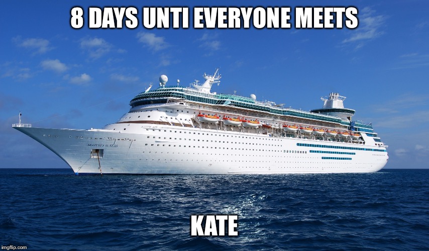 Cruise Ship | 8 DAYS UNTI EVERYONE MEETS; KATE | image tagged in cruise ship | made w/ Imgflip meme maker