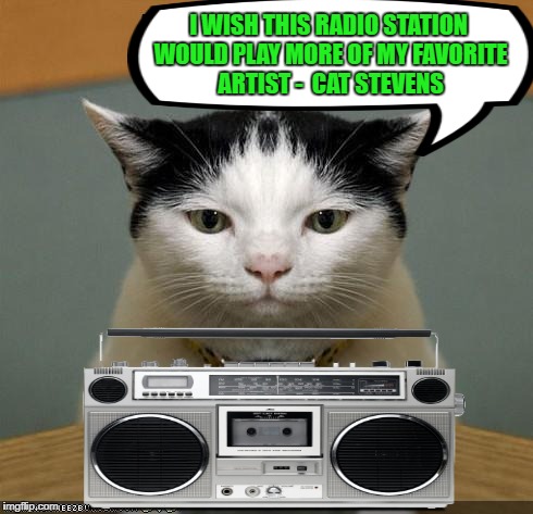 Cat Radio - Music Week!  March 5-11,A Phantasmemegoric & the coffeemaster Event | I WISH THIS RADIO STATION WOULD PLAY MORE OF MY FAVORITE ARTIST -  CAT STEVENS | image tagged in funny memes,cat,music week,a phantasmemegoric  thecoffeemaster event | made w/ Imgflip meme maker