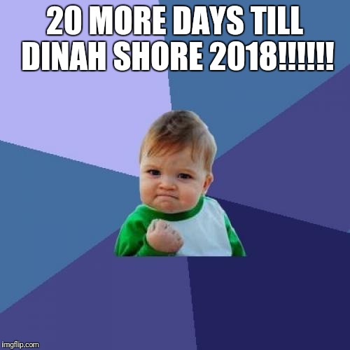 Success Kid | 20 MORE DAYS TILL DINAH SHORE 2018!!!!!! | image tagged in memes,success kid | made w/ Imgflip meme maker