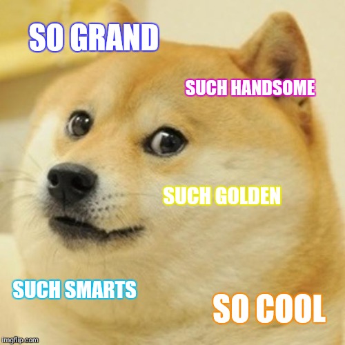 Doge Meme | SO GRAND; SUCH HANDSOME; SUCH GOLDEN; SUCH SMARTS; SO COOL | image tagged in memes,doge | made w/ Imgflip meme maker