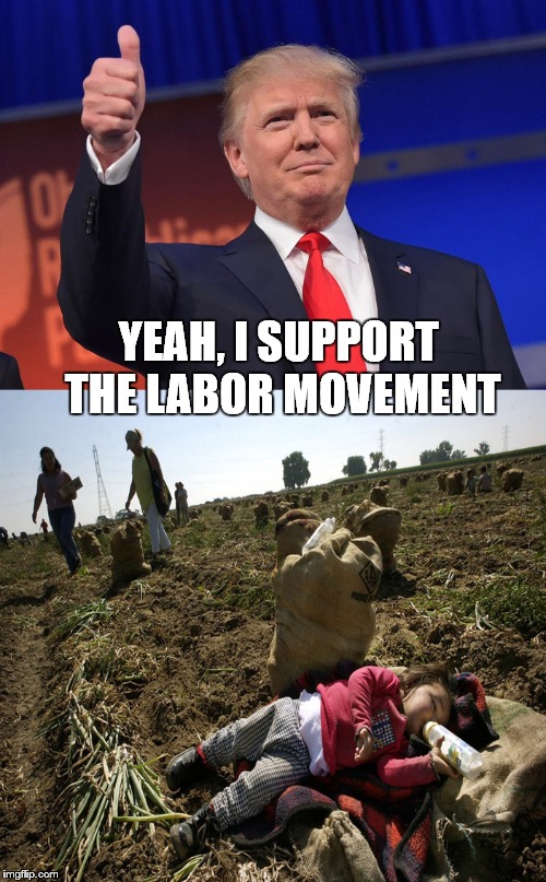 YEAH, I SUPPORT THE LABOR MOVEMENT | image tagged in donald trump | made w/ Imgflip meme maker