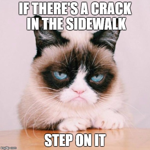 grumpy cat again | IF THERE'S A CRACK IN THE SIDEWALK; STEP ON IT | image tagged in grumpy cat again | made w/ Imgflip meme maker