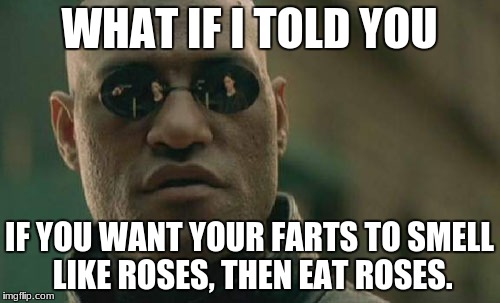 Matrix Morpheus Meme | WHAT IF I TOLD YOU IF YOU WANT YOUR FARTS TO SMELL LIKE ROSES, THEN EAT ROSES. | image tagged in memes,matrix morpheus | made w/ Imgflip meme maker