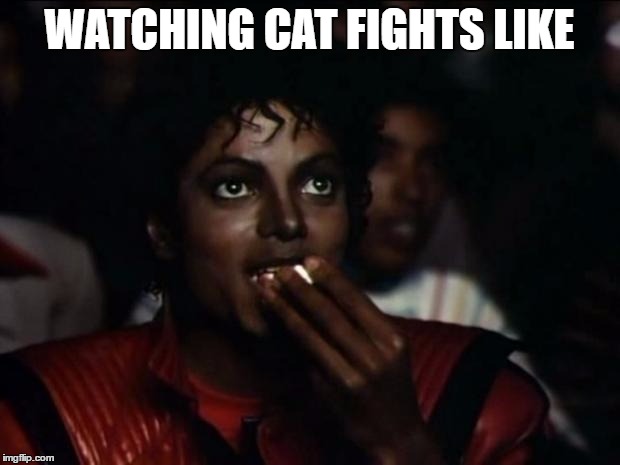 Michael Jackson Popcorn | WATCHING CAT FIGHTS LIKE | image tagged in memes,michael jackson popcorn | made w/ Imgflip meme maker