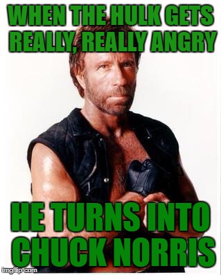 Chuck Norris Flex |  WHEN THE HULK GETS REALLY, REALLY ANGRY; HE TURNS INTO CHUCK NORRIS | image tagged in memes,chuck norris flex,chuck norris | made w/ Imgflip meme maker