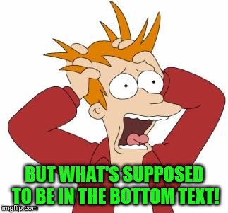 BUT WHAT'S SUPPOSED TO BE IN THE BOTTOM TEXT! | made w/ Imgflip meme maker