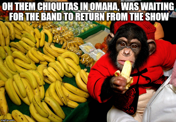 OH THEM CHIQUITAS IN OMAHA, WAS WAITING FOR THE BAND TO RETURN FROM THE SHOW | image tagged in banana chimp | made w/ Imgflip meme maker