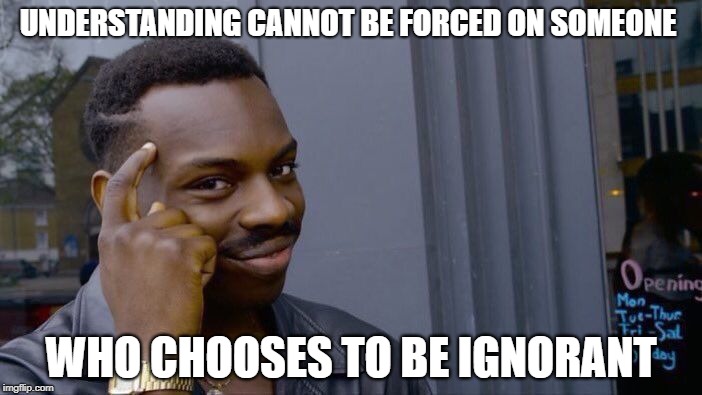 There are none so blind... | UNDERSTANDING CANNOT BE FORCED ON SOMEONE; WHO CHOOSES TO BE IGNORANT | image tagged in memes,roll safe think about it | made w/ Imgflip meme maker