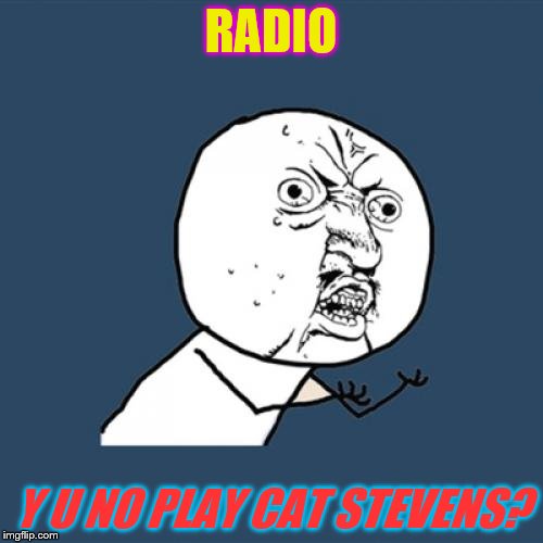 Y U No Meme | RADIO Y U NO PLAY CAT STEVENS? | image tagged in memes,y u no | made w/ Imgflip meme maker