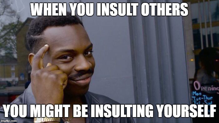 Roll Safe Think About It Meme | WHEN YOU INSULT OTHERS YOU MIGHT BE INSULTING YOURSELF | image tagged in memes,roll safe think about it | made w/ Imgflip meme maker