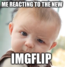 Skeptical Baby | ME REACTING TO THE NEW; IMGFLIP | image tagged in memes,skeptical baby | made w/ Imgflip meme maker