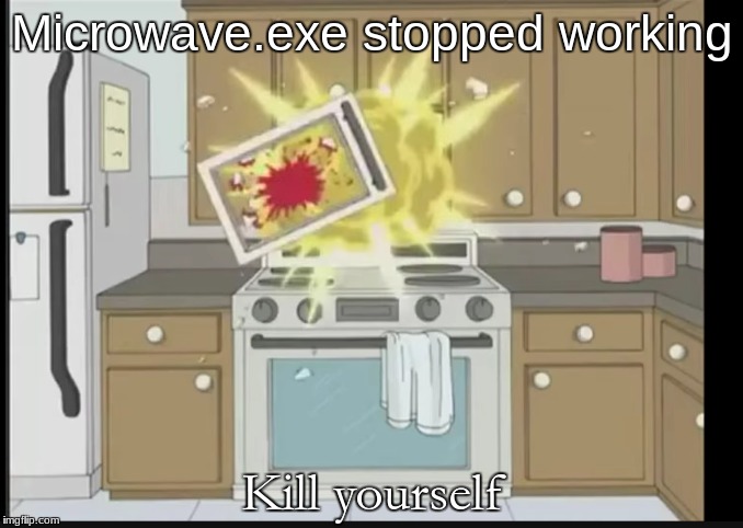 Microwave.exe stopped working; Kill yourself | image tagged in microwave dies | made w/ Imgflip meme maker