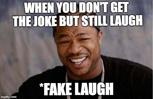 Yo Dawg Heard You | WHEN YOU DON'T GET THE JOKE BUT STILL LAUGH; *FAKE LAUGH | image tagged in memes,yo dawg heard you | made w/ Imgflip meme maker