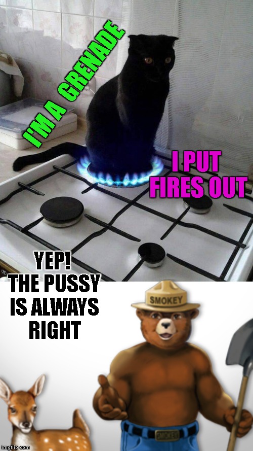 I'M A  GRENADE I PUT FIRES OUT YEP! THE PUSSY IS ALWAYS RIGHT | made w/ Imgflip meme maker