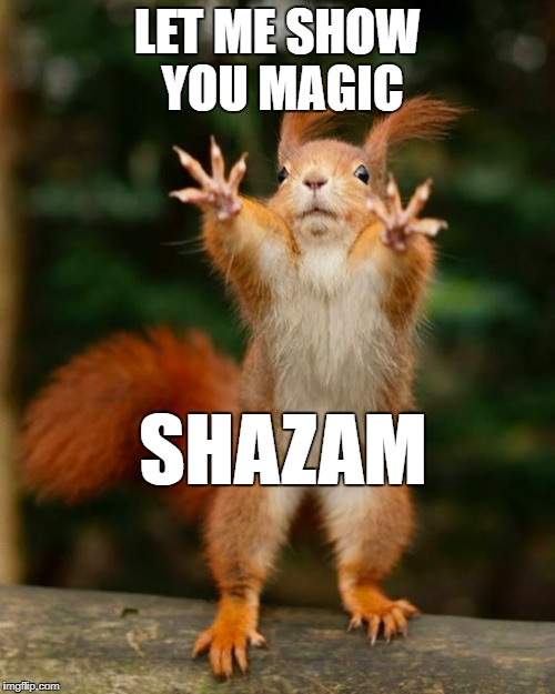 magic squirrel  | LET ME SHOW YOU MAGIC; SHAZAM | image tagged in magic,squirrel | made w/ Imgflip meme maker