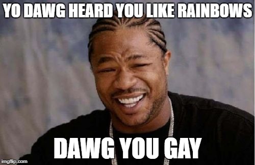 Yo Dawg Heard You Meme | YO DAWG HEARD YOU LIKE RAINBOWS; DAWG YOU GAY | image tagged in memes,yo dawg heard you | made w/ Imgflip meme maker