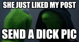 Kermit dark side | SHE JUST LIKED MY POST; SEND A DICK PIC | image tagged in kermit dark side | made w/ Imgflip meme maker