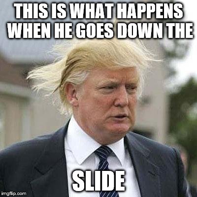 Donald Trump | THIS IS WHAT HAPPENS WHEN HE GOES DOWN THE; SLIDE | image tagged in donald trump | made w/ Imgflip meme maker