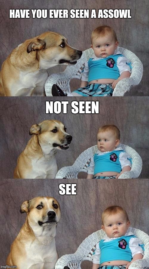 Dad Joke Dog Meme | HAVE YOU EVER SEEN A ASSOWL; NOT SEEN; SEE | image tagged in memes,dad joke dog | made w/ Imgflip meme maker